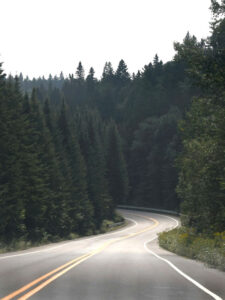 Landstraße durch einen Wald