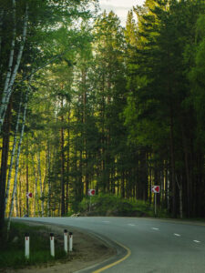 Landstraße durch einen Wald